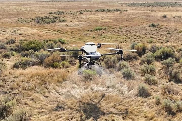 Spray drone treating brush on open rangeland